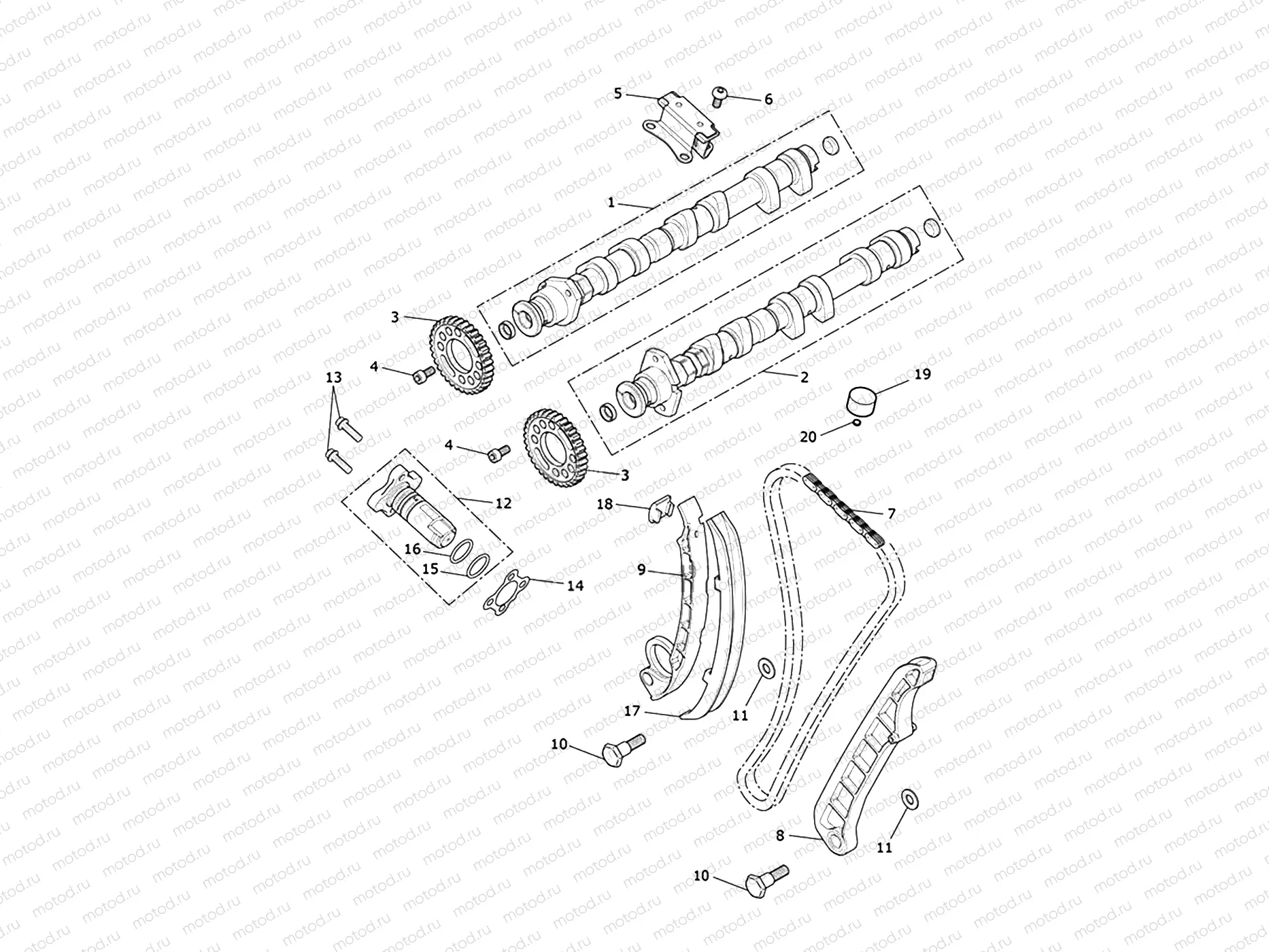 Camshaft & Camshaft Drive