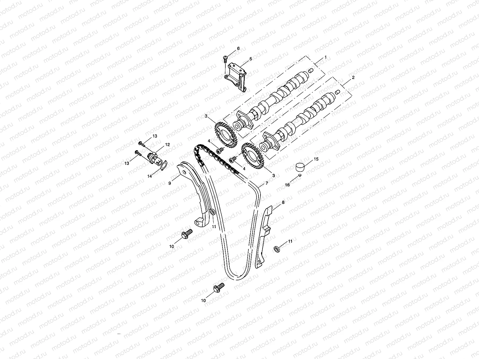 Camshaft & Camshaft Drive