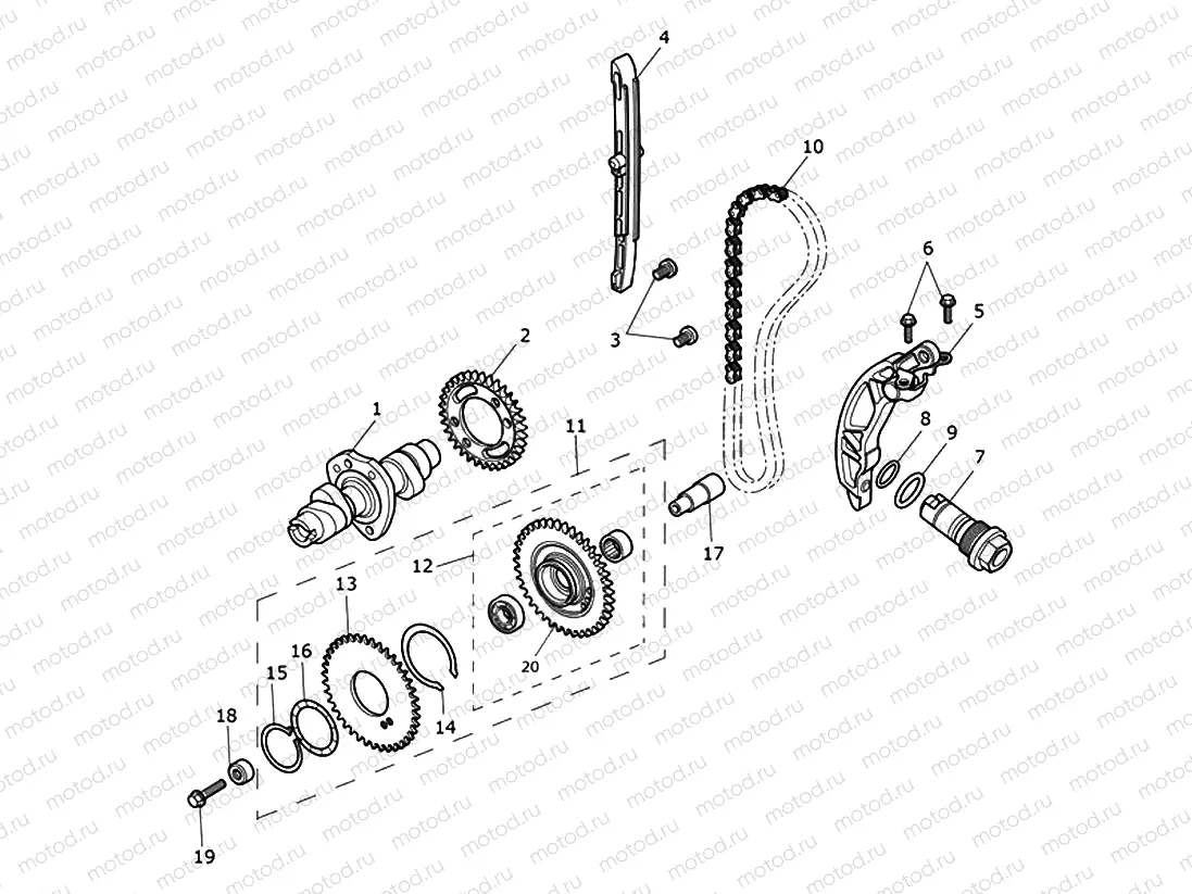 Camshaft & Camshaft Drive