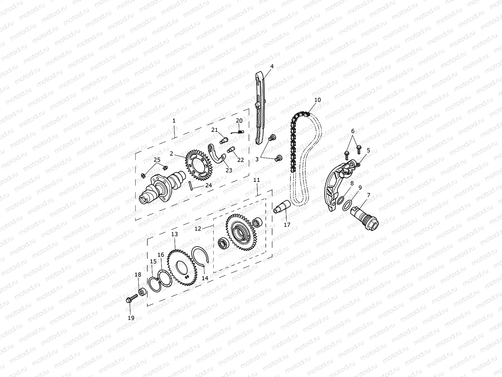 Camshaft & Camshaft Drive
