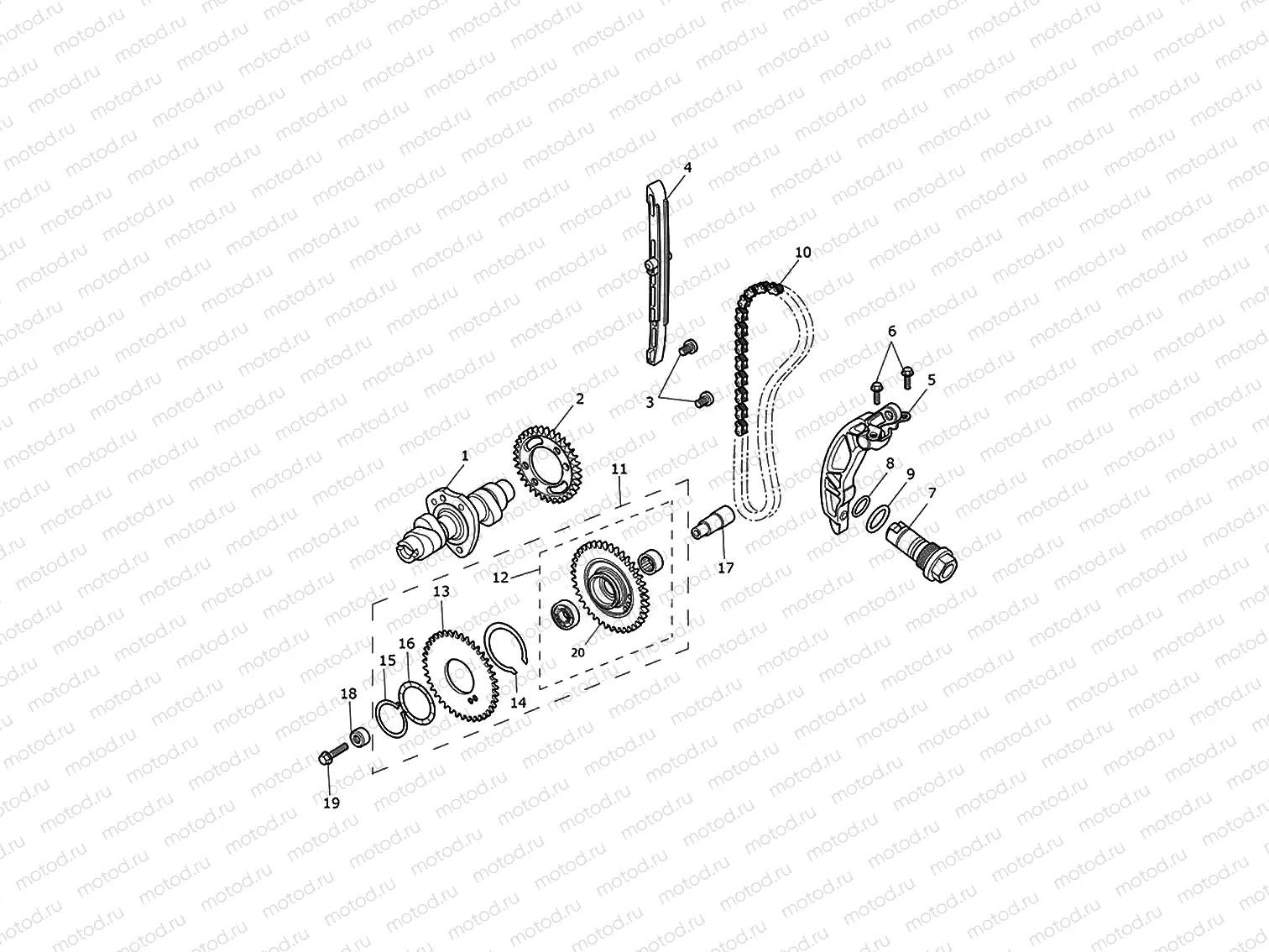 Camshaft & camshaft drive