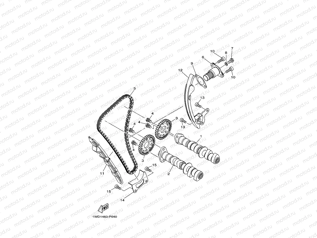 CAMSHAFT & CHAIN