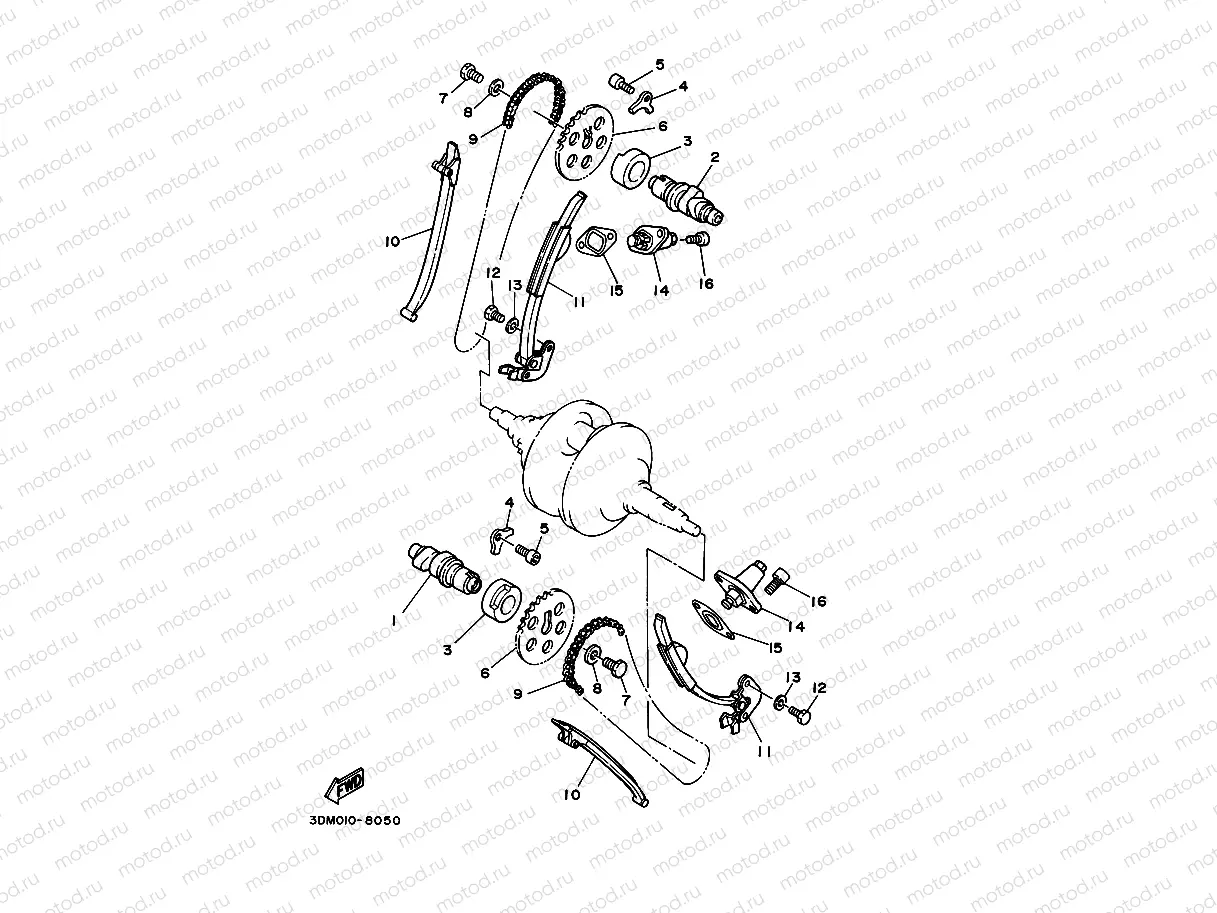 CAMSHAFT & CHAIN