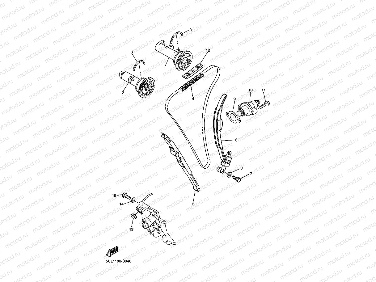CAMSHAFT & CHAIN