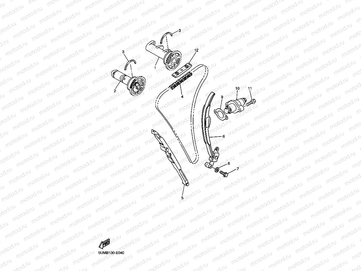 CAMSHAFT & CHAIN