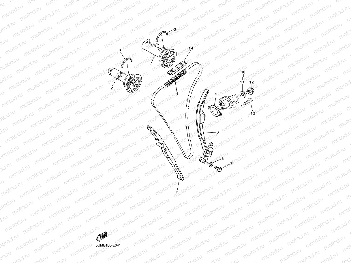 CAMSHAFT & CHAIN