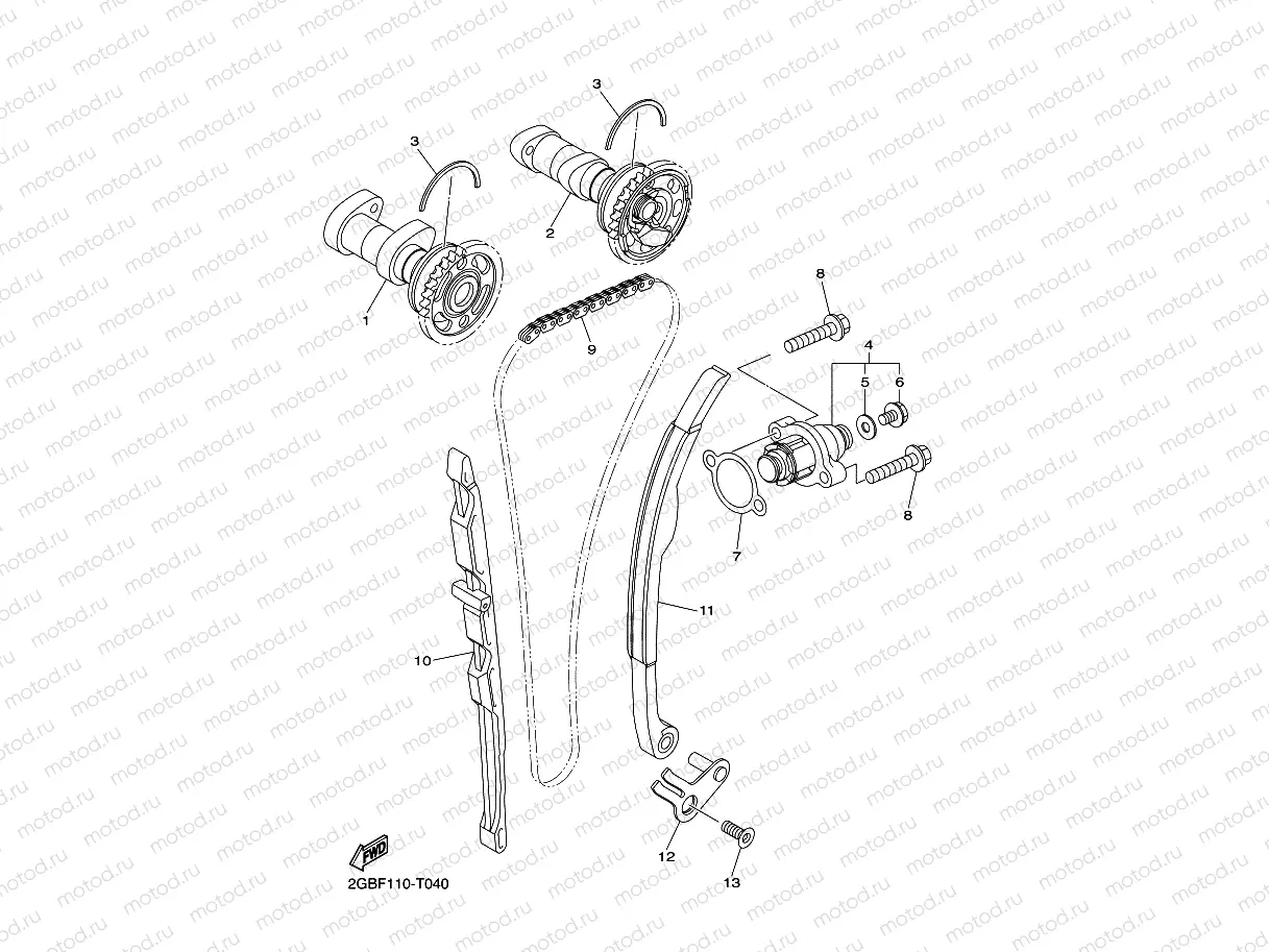 CAMSHAFT & CHAIN