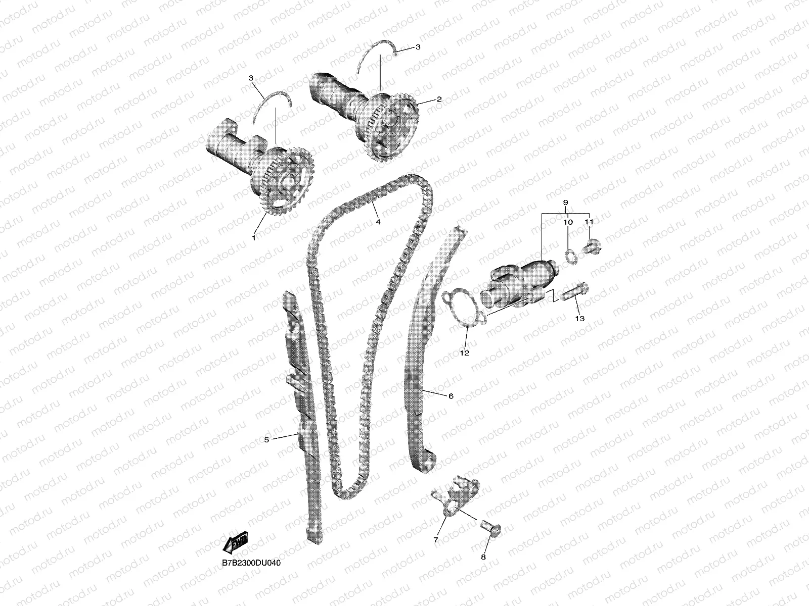CAMSHAFT & CHAIN