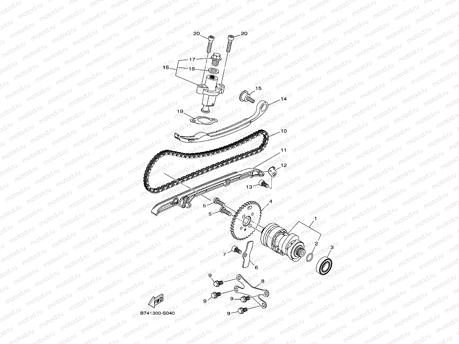 CAMSHAFT & CHAIN