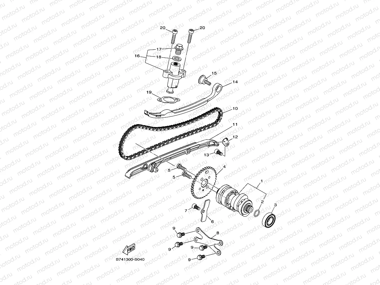 CAMSHAFT & CHAIN