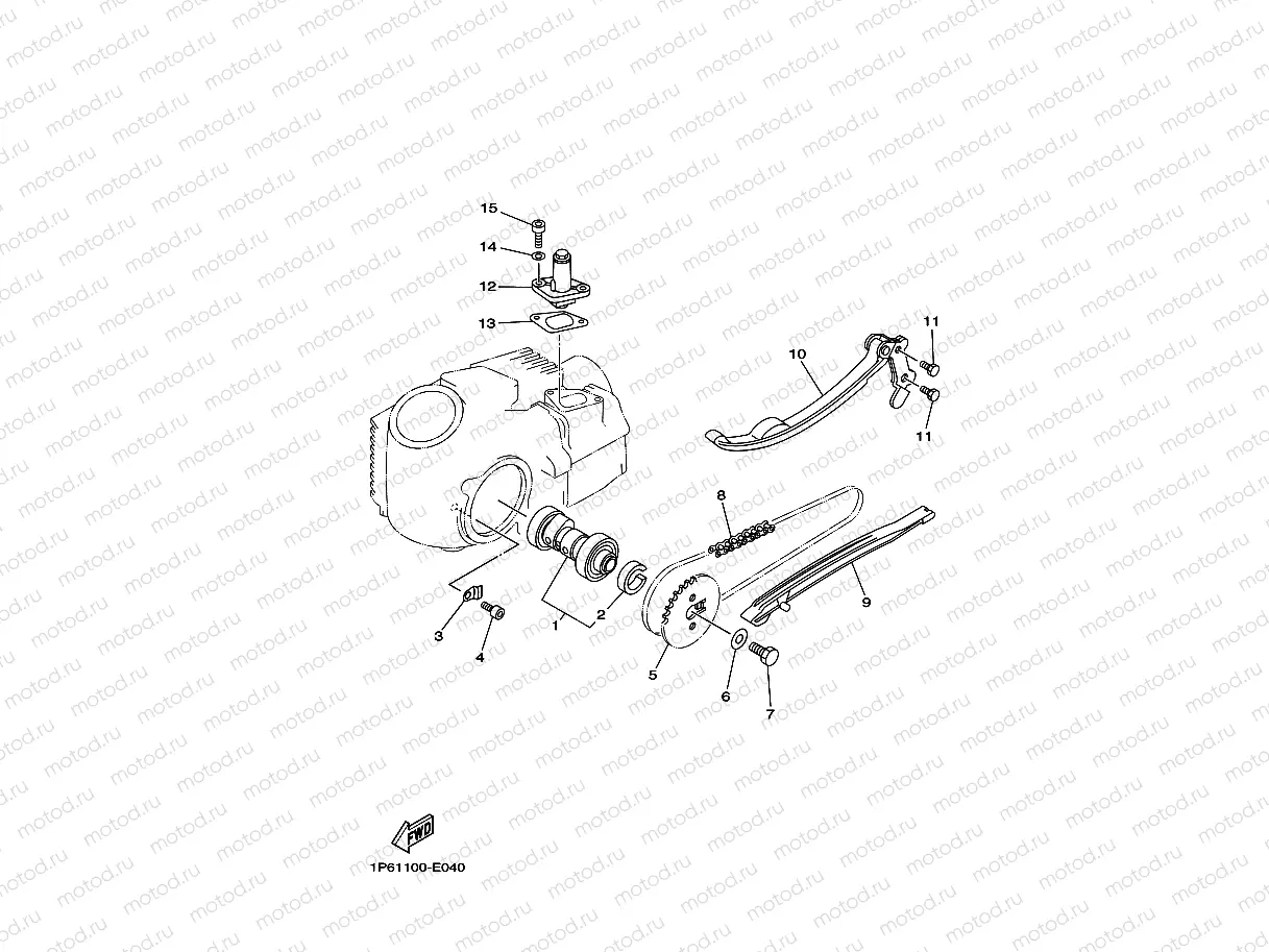 CAMSHAFT & CHAIN