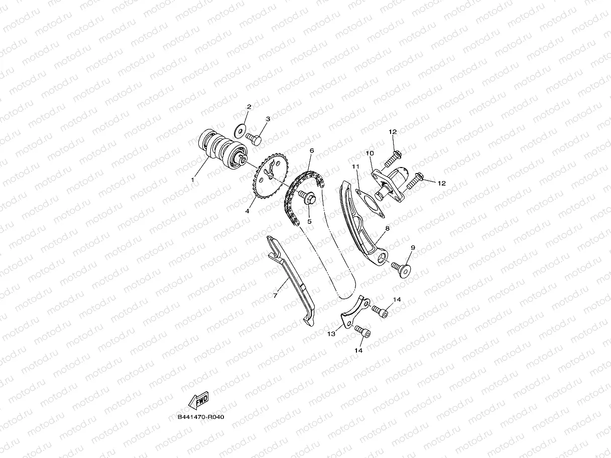 CAMSHAFT & CHAIN