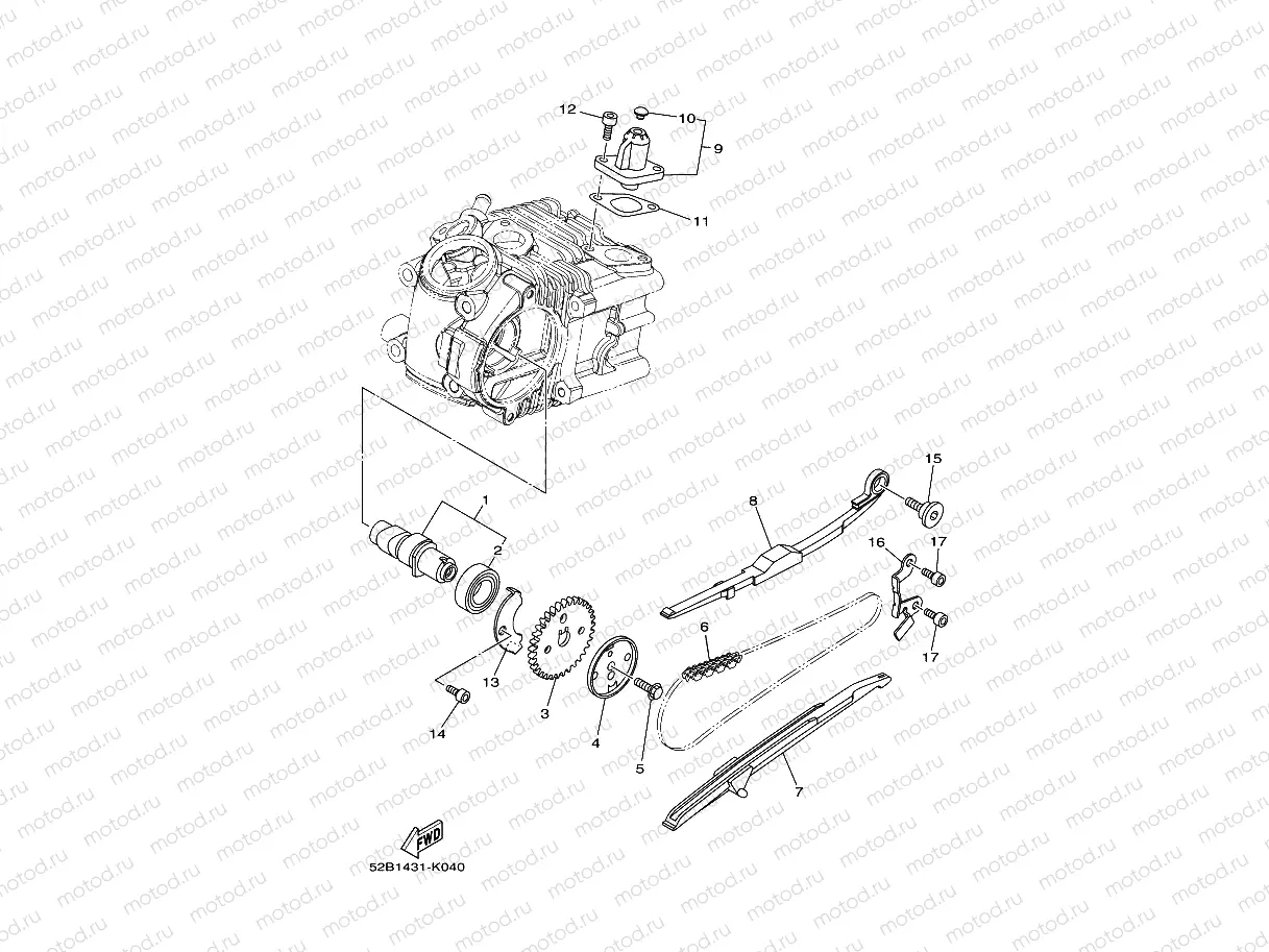 CAMSHAFT & CHAIN