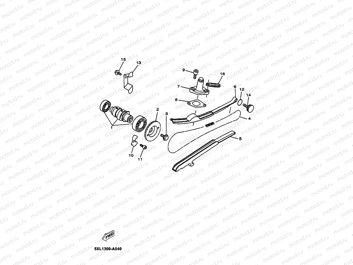 CAMSHAFT & CHAIN