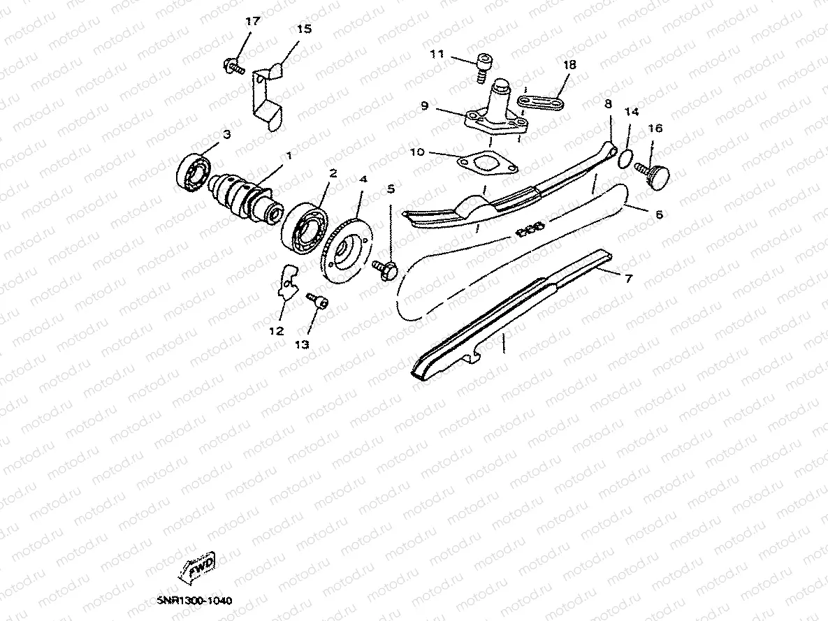 CAMSHAFT & CHAIN