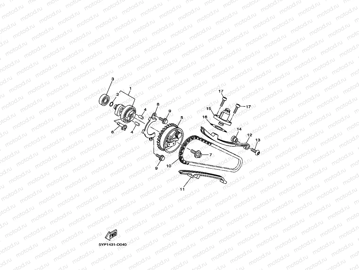 CAMSHAFT & CHAIN