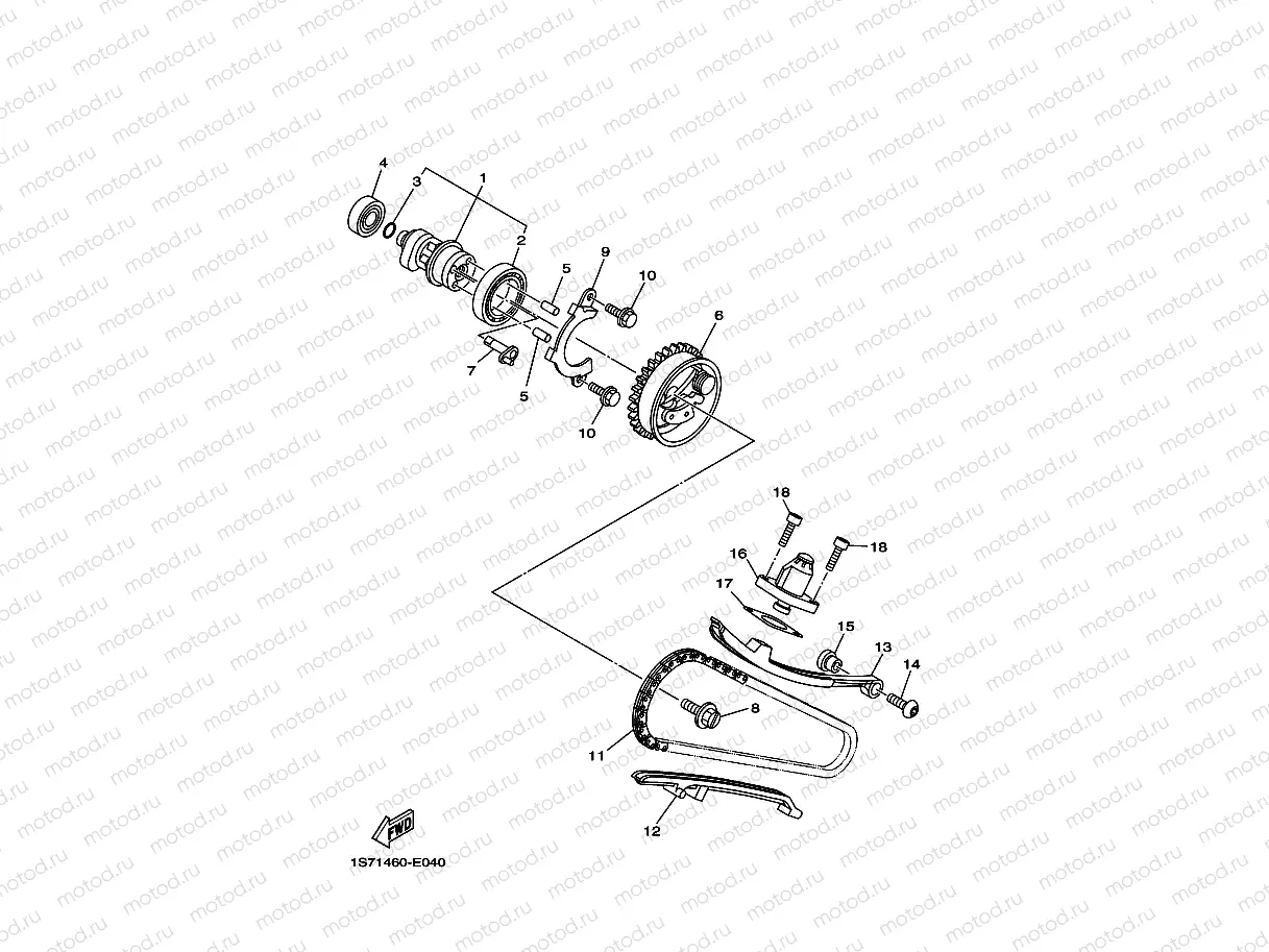 CAMSHAFT & CHAIN