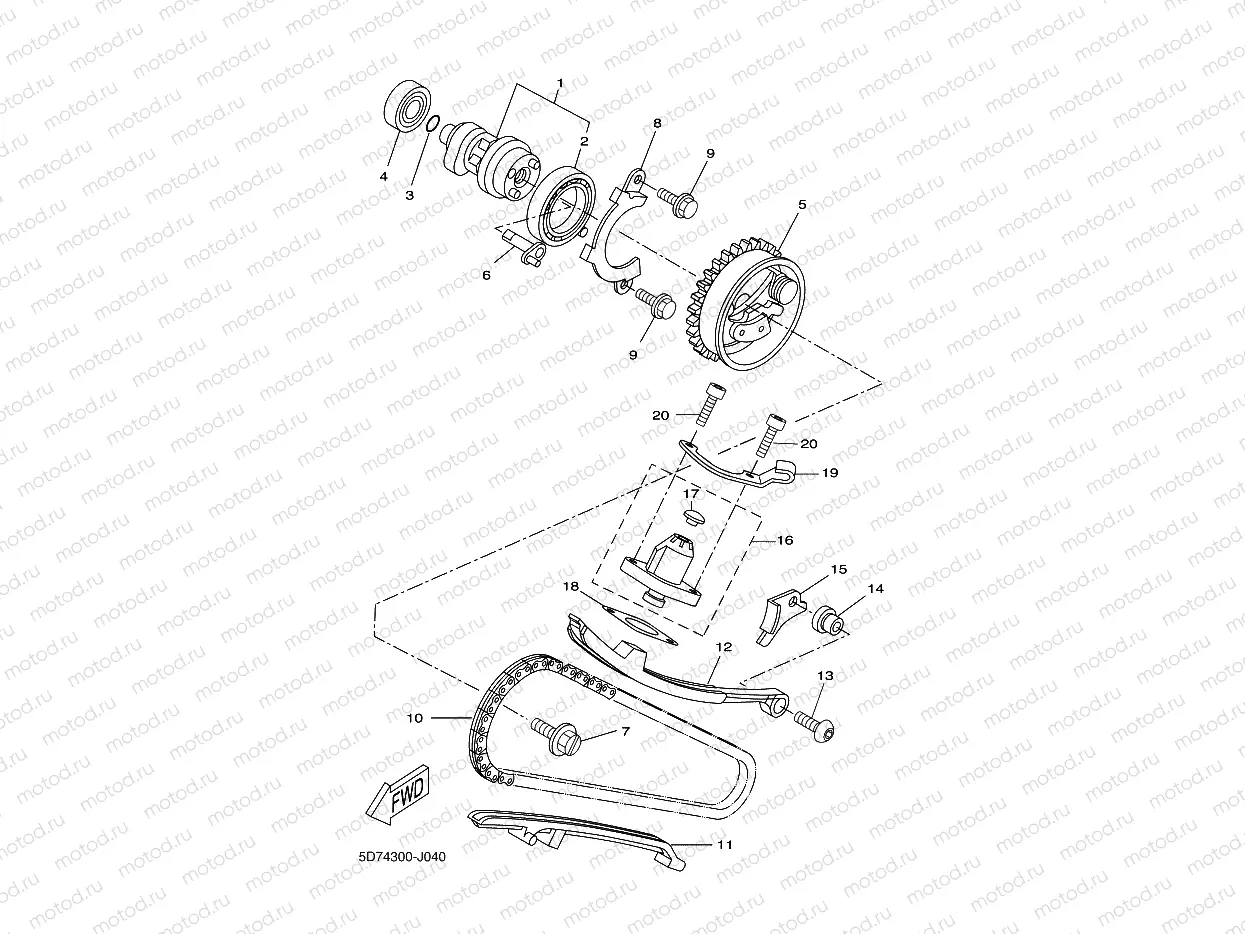 CAMSHAFT & CHAIN