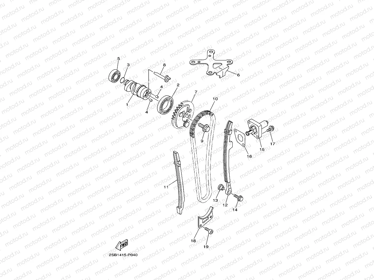 CAMSHAFT & CHAIN