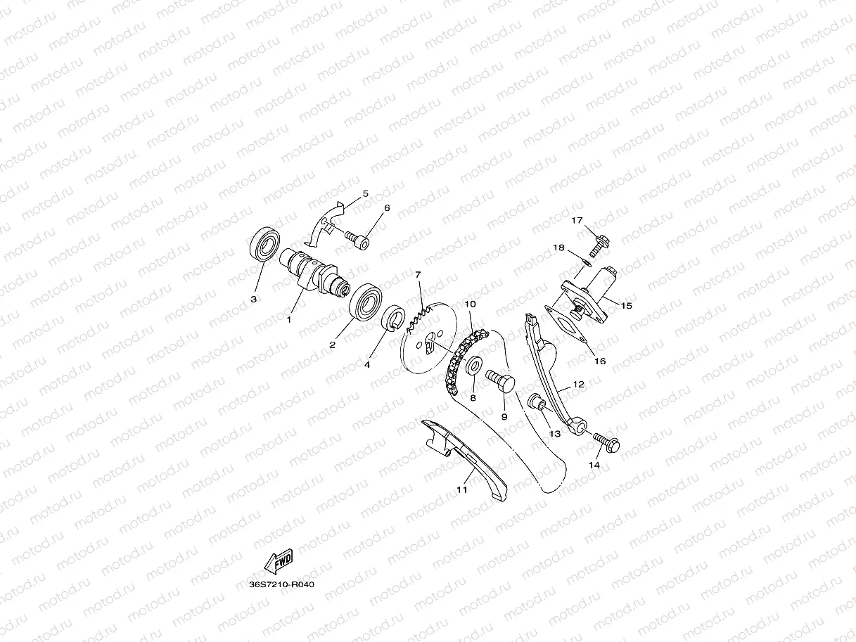 CAMSHAFT & CHAIN