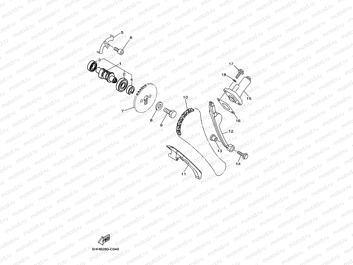 CAMSHAFT & CHAIN