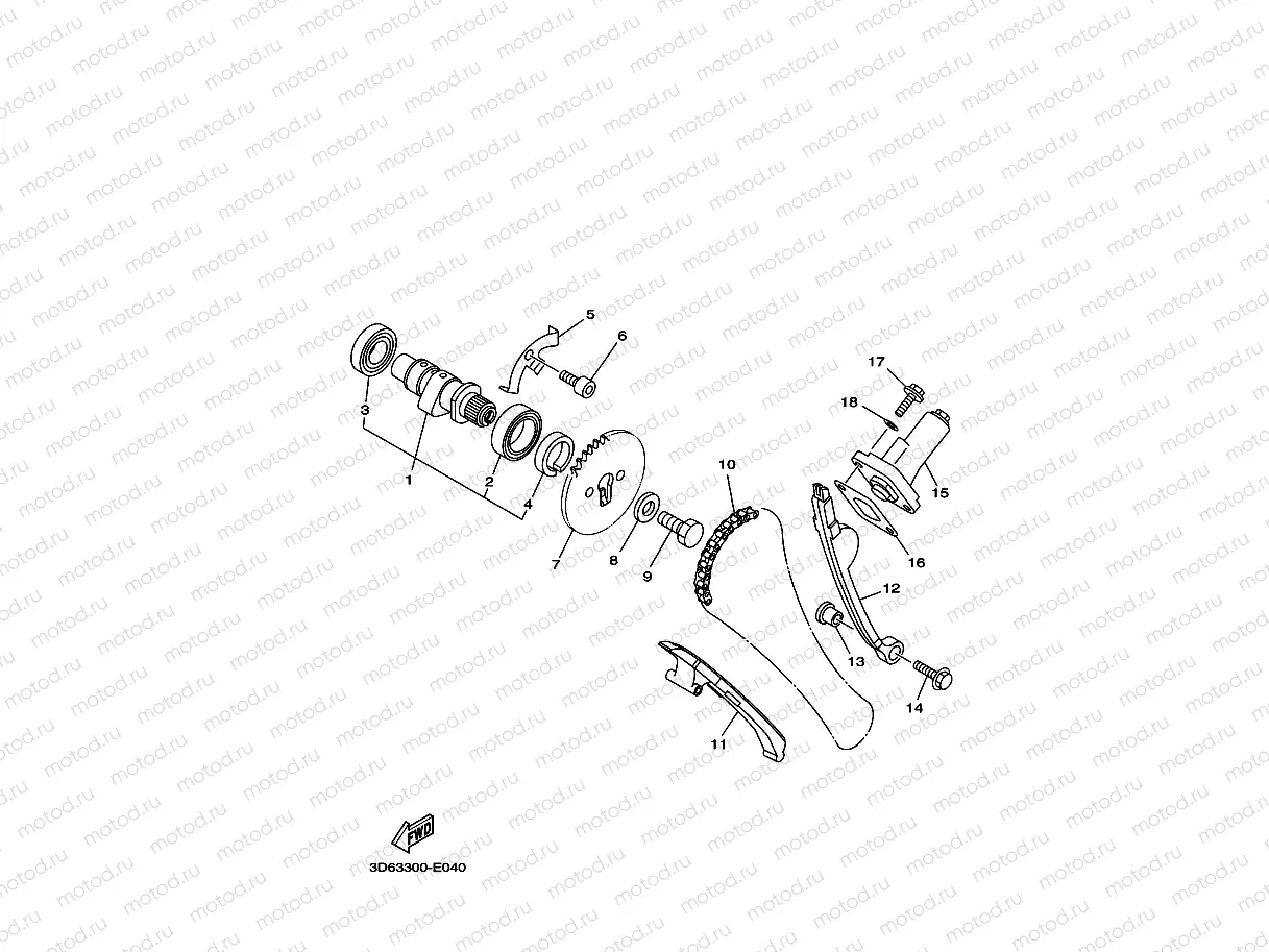 CAMSHAFT & CHAIN