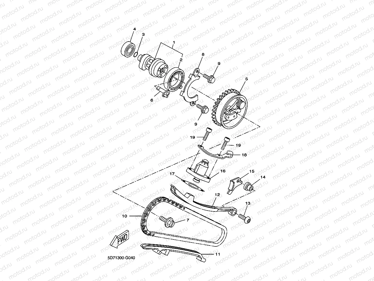 CAMSHAFT & CHAIN