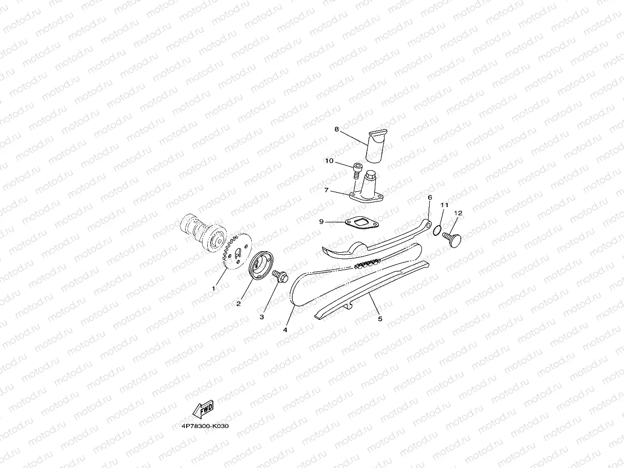 CAMSHAFT & CHAIN