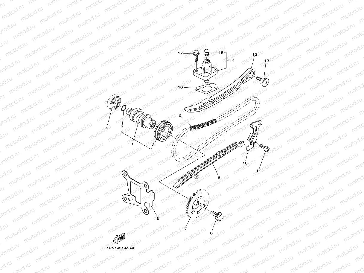 CAMSHAFT & CHAIN