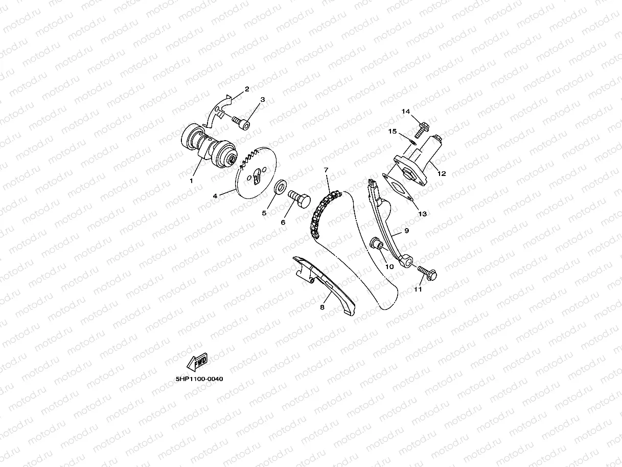 CAMSHAFT & CHAIN
