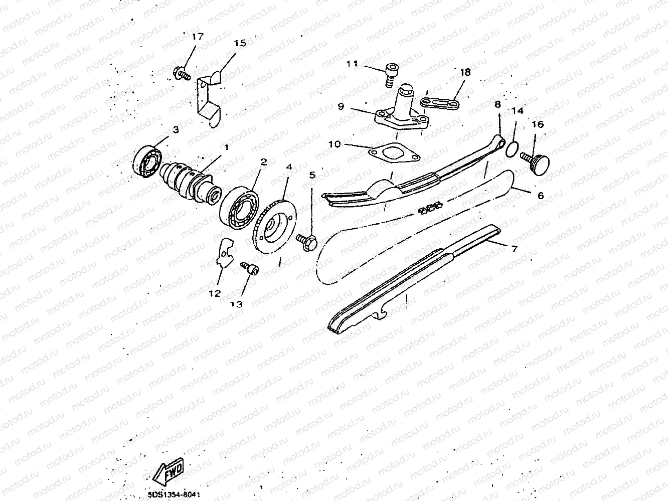 CAMSHAFT & CHAIN