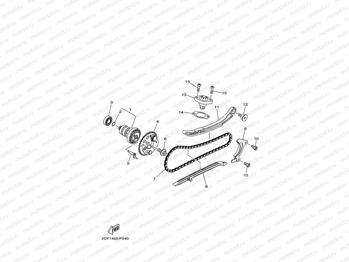 CAMSHAFT & CHAIN