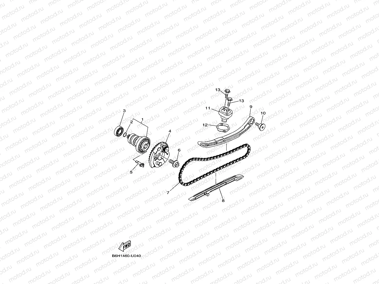 CAMSHAFT & CHAIN