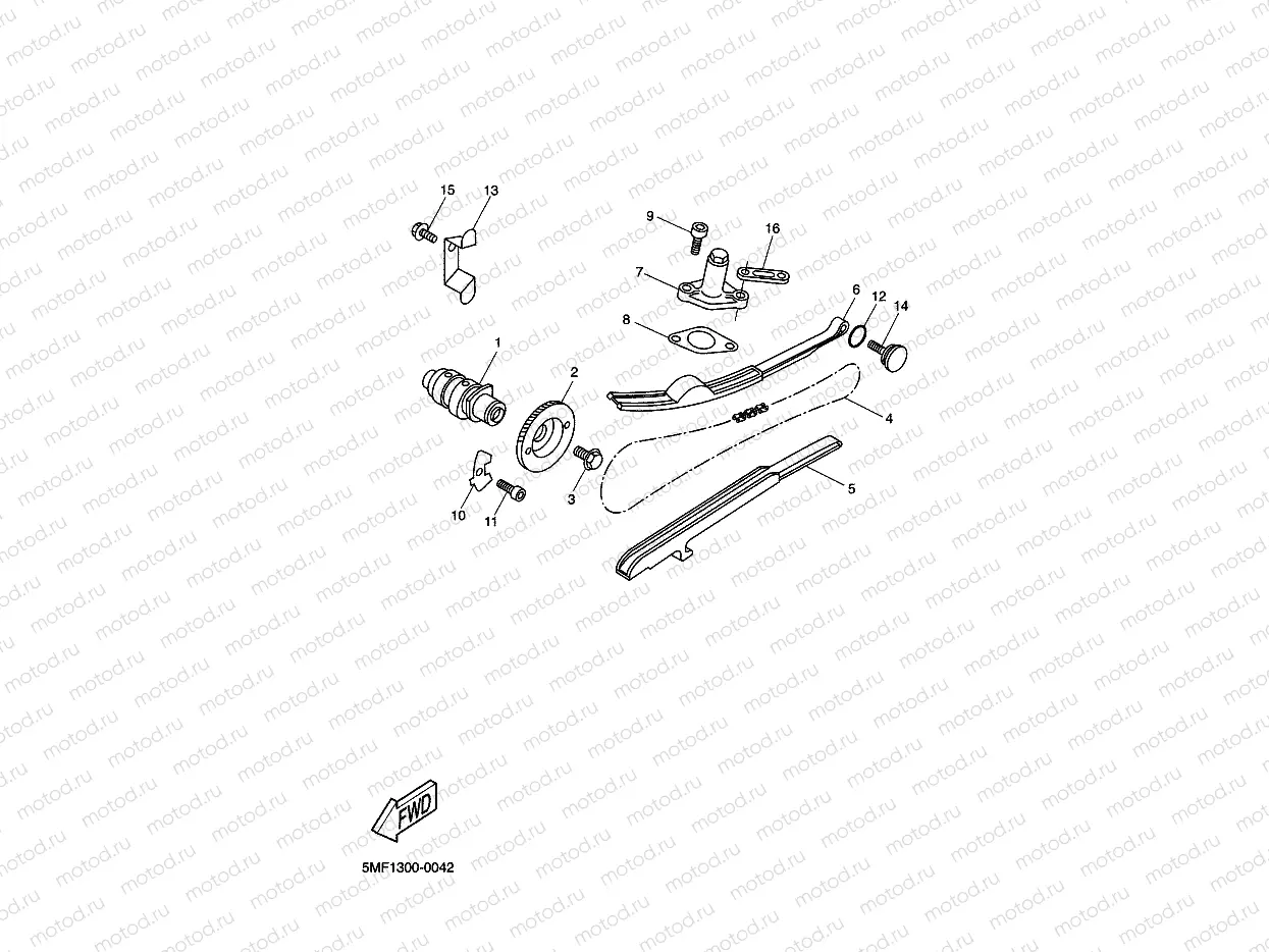 CAMSHAFT & CHAIN