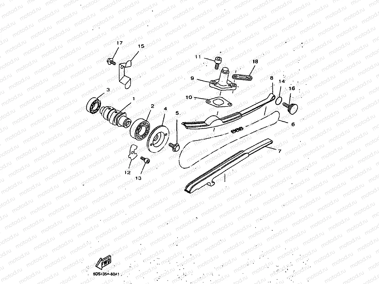 CAMSHAFT & CHAIN