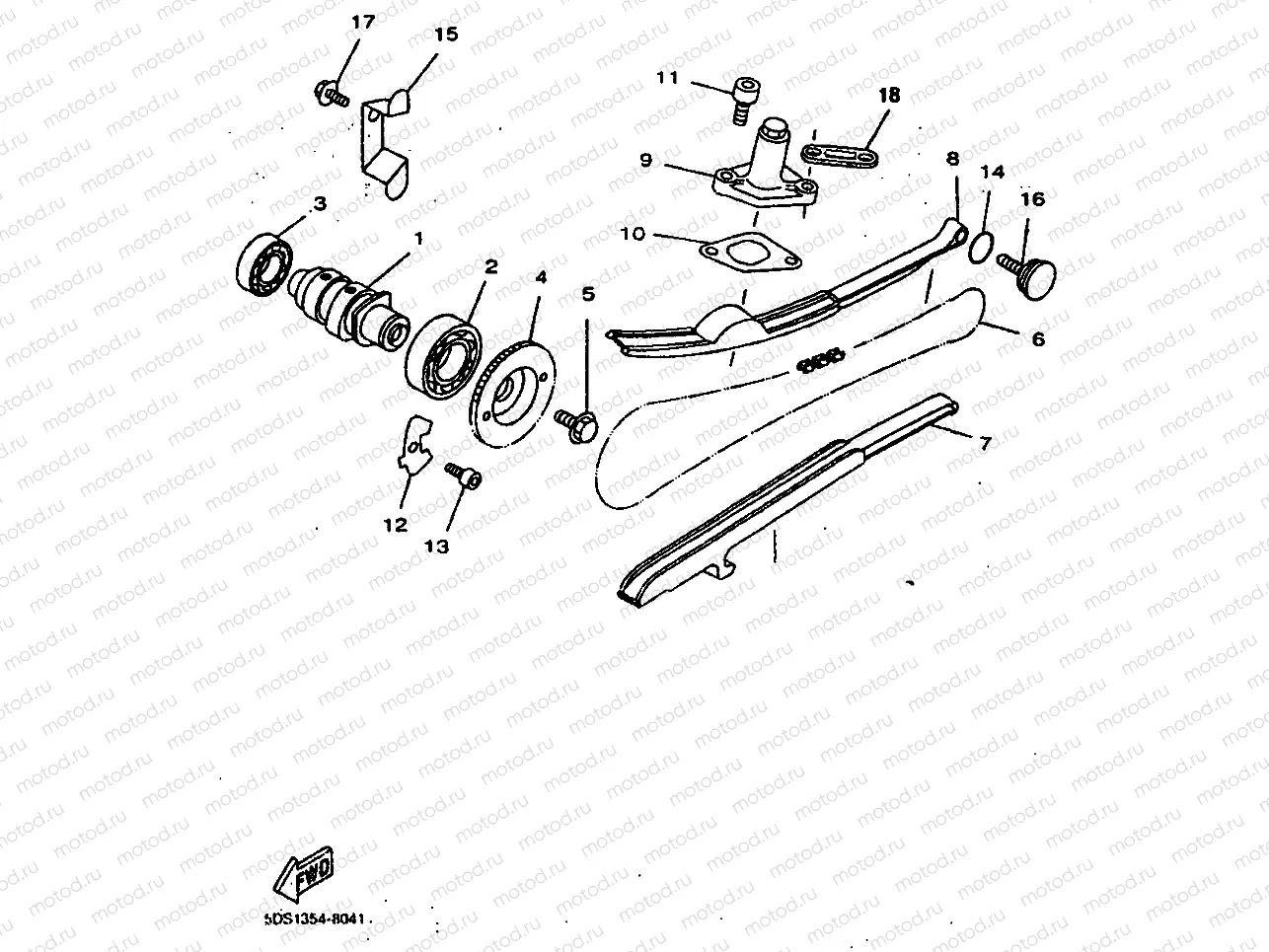 CAMSHAFT & CHAIN