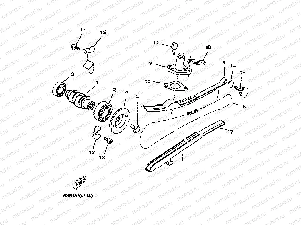 CAMSHAFT & CHAIN