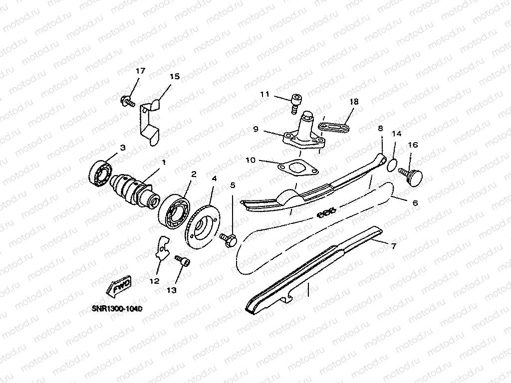 CAMSHAFT & CHAIN