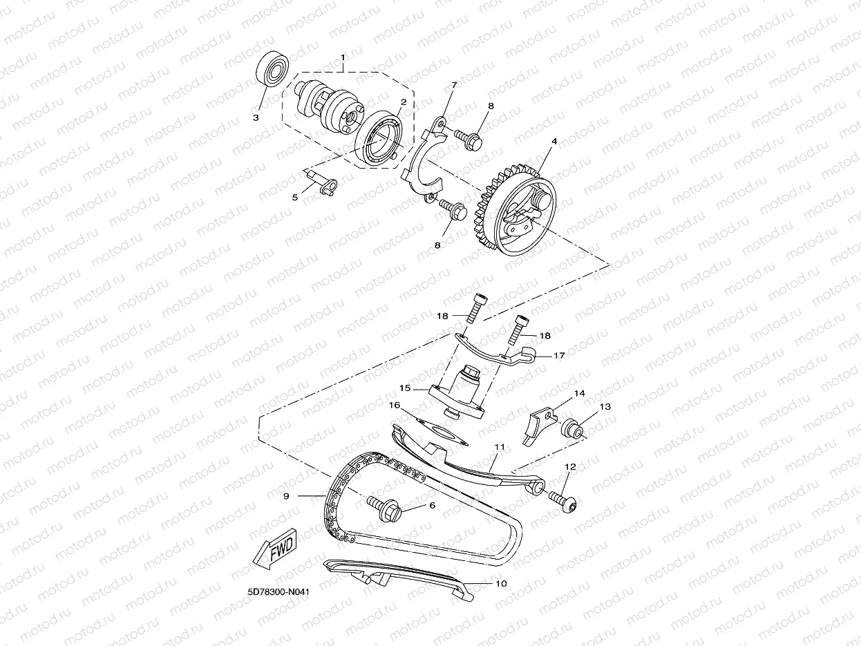 CAMSHAFT & CHAIN
