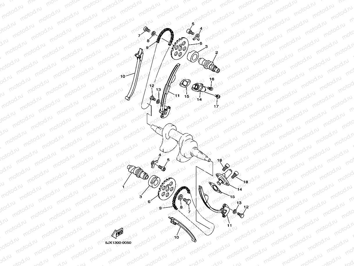 CAMSHAFT & CHAIN