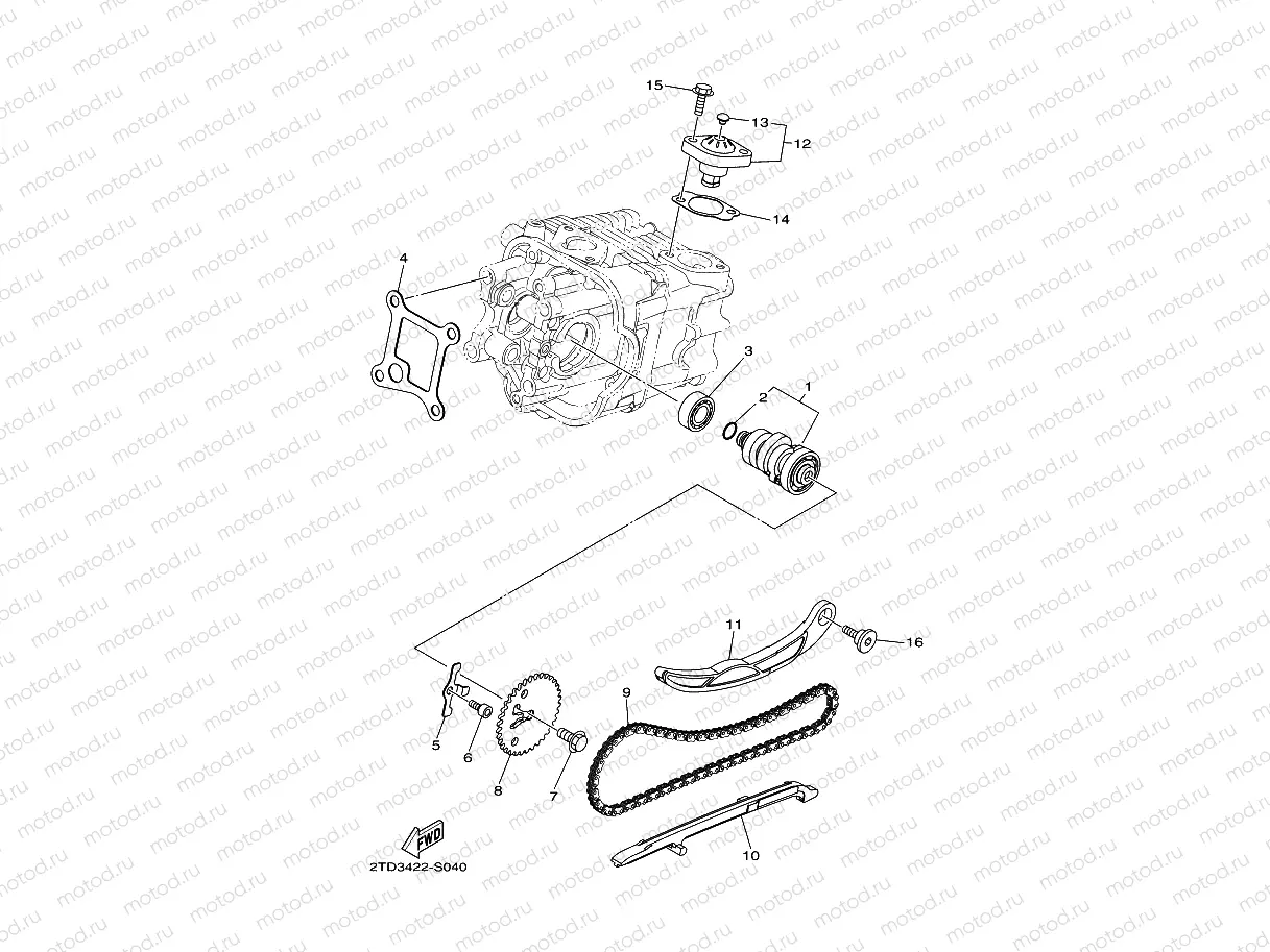 CAMSHAFT & CHAIN