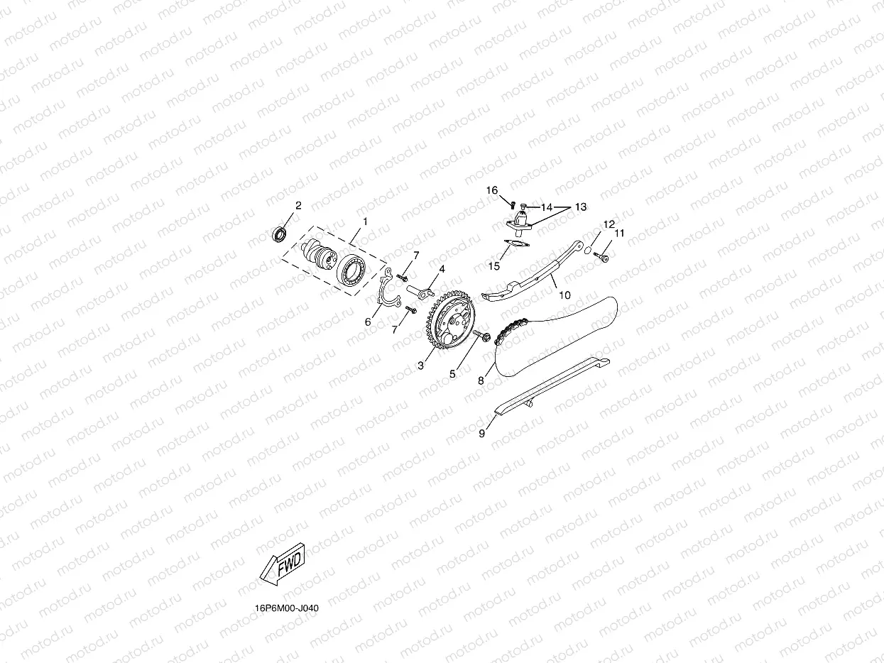 CAMSHAFT & CHAIN