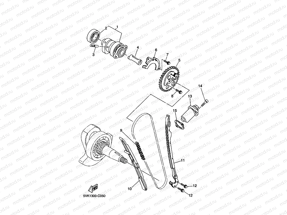 CAMSHAFT & CHAIN