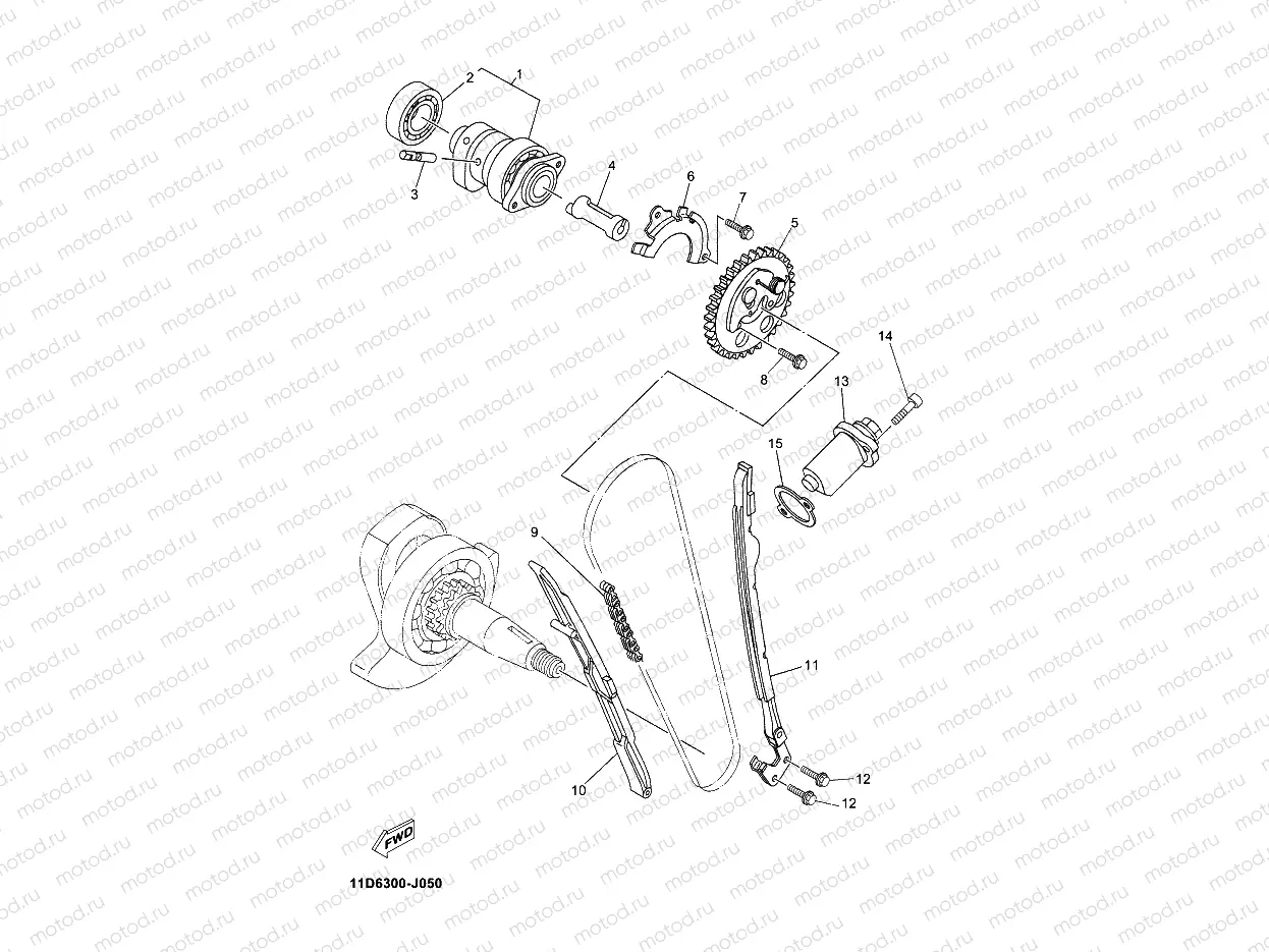 CAMSHAFT & CHAIN