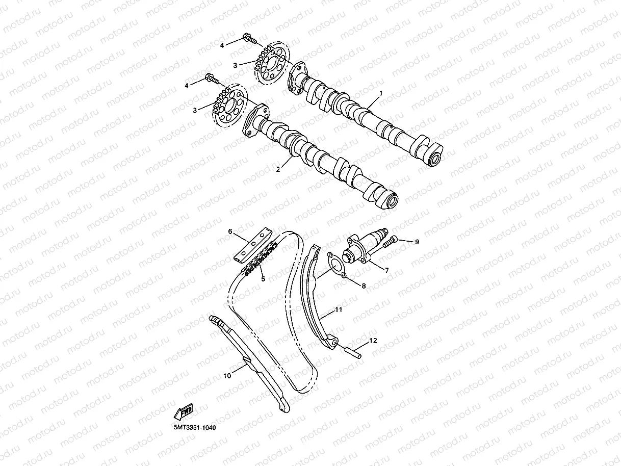 CAMSHAFT & CHAIN