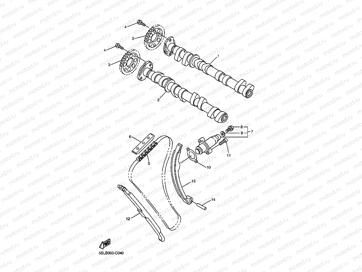 CAMSHAFT & CHAIN