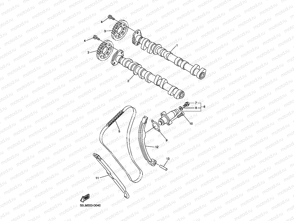 CAMSHAFT & CHAIN