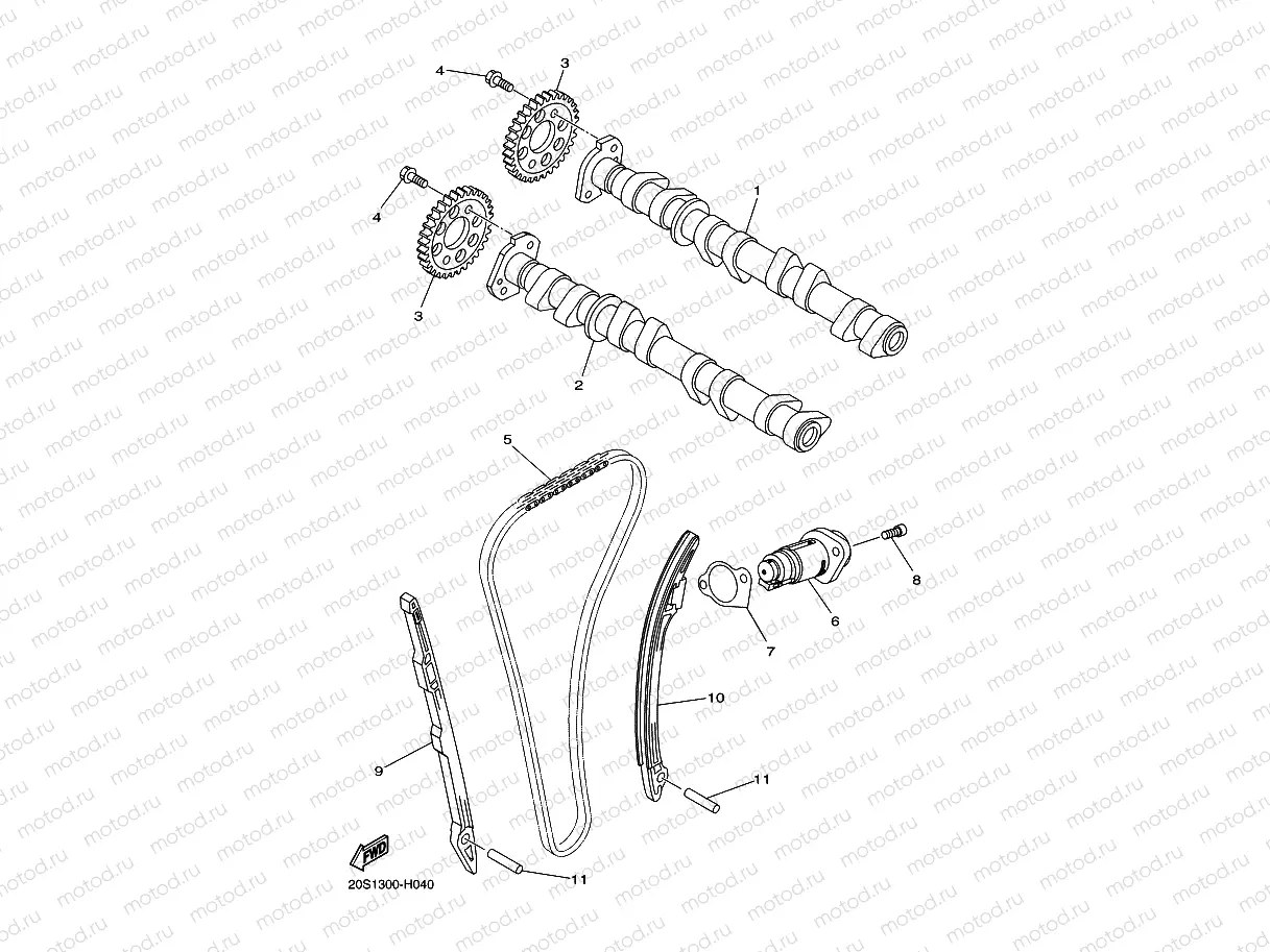 CAMSHAFT & CHAIN