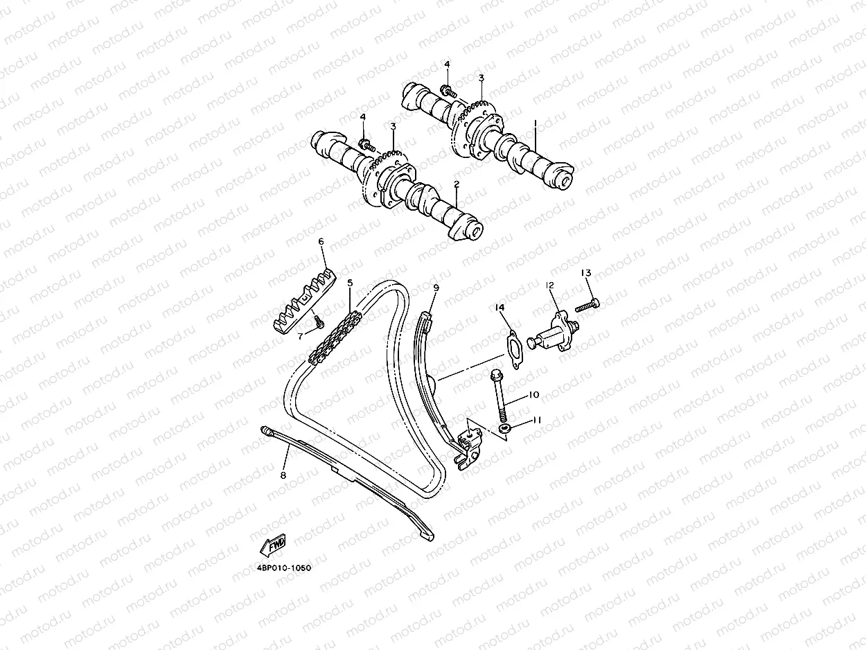 CAMSHAFT & CHAIN