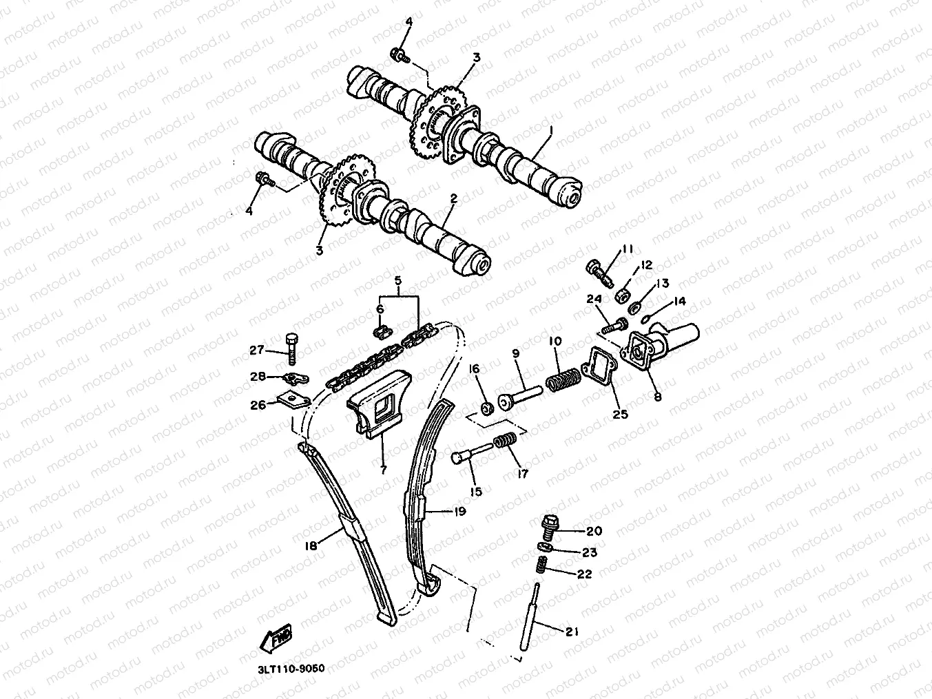 CAMSHAFT & CHAIN